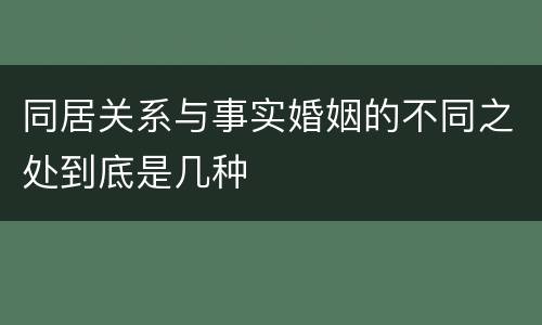 同居关系与事实婚姻的不同之处到底是几种