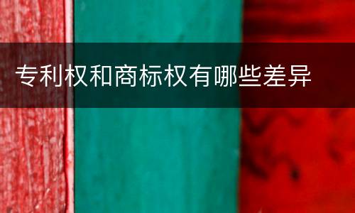 专利权和商标权有哪些差异