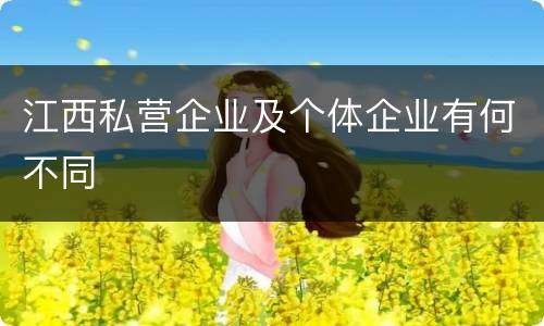 江西私营企业及个体企业有何不同