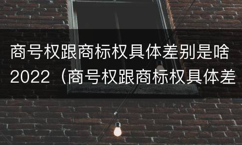商号权跟商标权具体差别是啥2022（商号权跟商标权具体差别是啥2022年的）