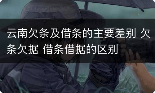 云南欠条及借条的主要差别 欠条欠据 借条借据的区别