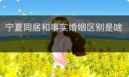 宁夏同居和事实婚姻区别是啥