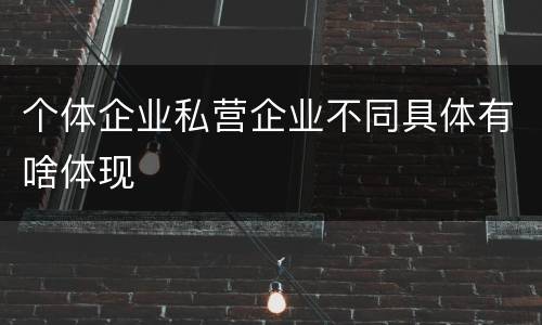 个体企业私营企业不同具体有啥体现