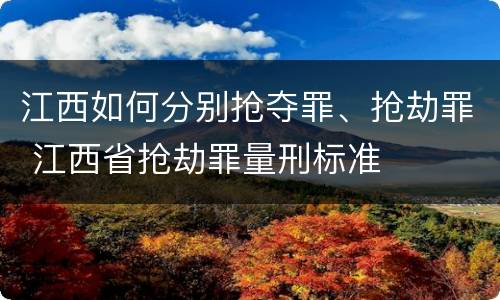 江西如何分别抢夺罪、抢劫罪 江西省抢劫罪量刑标准