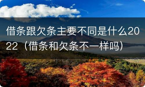 借条跟欠条主要不同是什么2022（借条和欠条不一样吗）