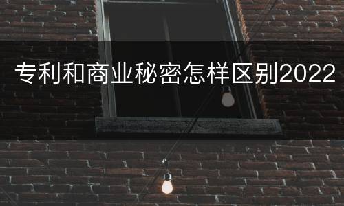 专利和商业秘密怎样区别2022