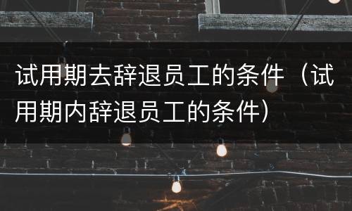 试用期去辞退员工的条件（试用期内辞退员工的条件）