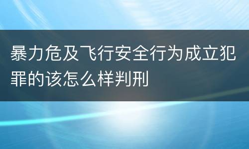 暴力危及飞行安全行为成立犯罪的该怎么样判刑