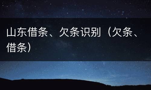 山东借条、欠条识别（欠条、借条）