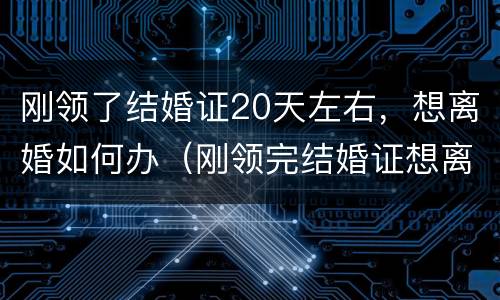 刚领了结婚证20天左右，想离婚如何办（刚领完结婚证想离婚怎么办）