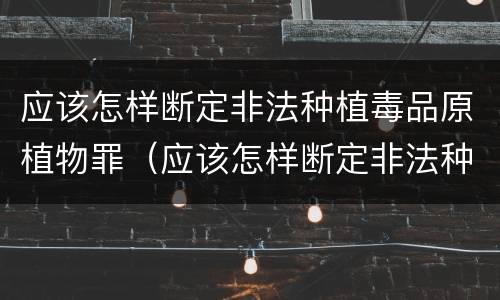 应该怎样断定非法种植毒品原植物罪（应该怎样断定非法种植毒品原植物罪）