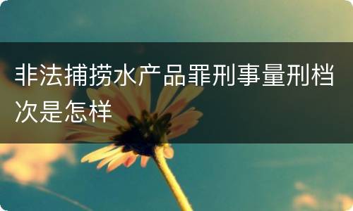 非法捕捞水产品罪刑事量刑档次是怎样