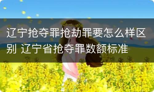 辽宁抢夺罪抢劫罪要怎么样区别 辽宁省抢夺罪数额标准