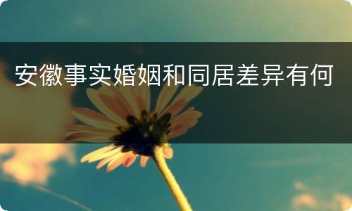 安徽事实婚姻和同居差异有何