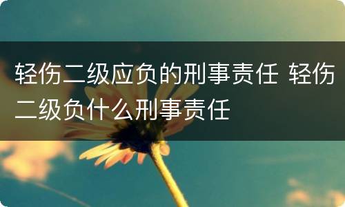 轻伤二级应负的刑事责任 轻伤二级负什么刑事责任