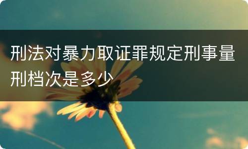 刑法对暴力取证罪规定刑事量刑档次是多少