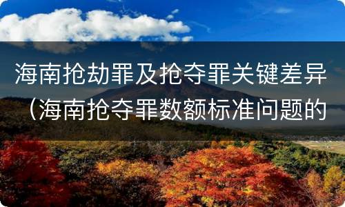 海南抢劫罪及抢夺罪关键差异（海南抢夺罪数额标准问题的规定）