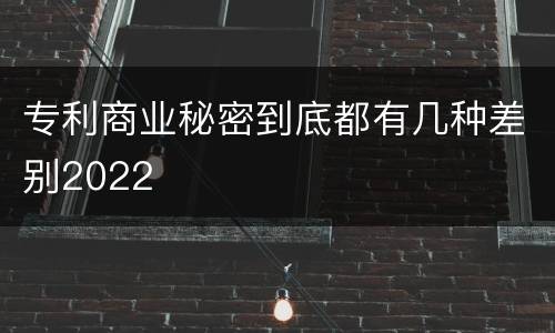 专利商业秘密到底都有几种差别2022