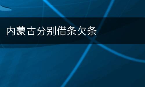 内蒙古分别借条欠条