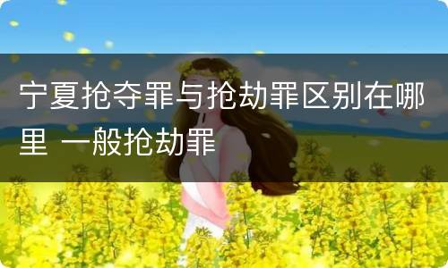宁夏抢夺罪与抢劫罪区别在哪里 一般抢劫罪