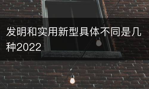 发明和实用新型具体不同是几种2022