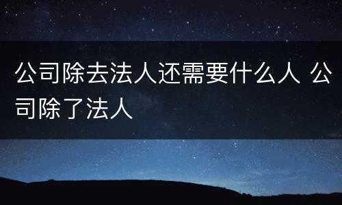 公司除去法人还需要什么人 公司除了法人