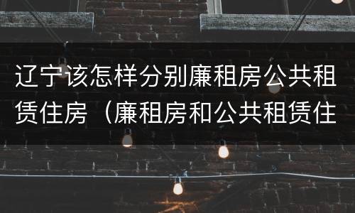 辽宁该怎样分别廉租房公共租赁住房(廉租房和公共租赁住房)