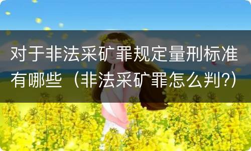 对于非法采矿罪规定量刑标准有哪些（非法采矿罪怎么判?）