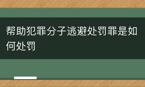 帮助犯罪分子逃避处罚罪是如何处罚