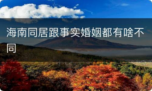 海南同居跟事实婚姻都有啥不同