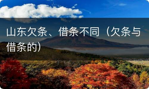 山东欠条、借条不同（欠条与借条的）