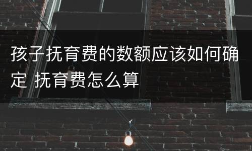 孩子抚育费的数额应该如何确定 抚育费怎么算