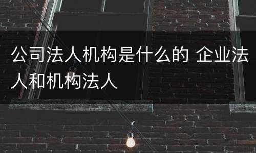 公司法人机构是什么的 企业法人和机构法人