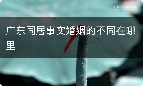 广东同居事实婚姻的不同在哪里