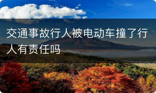 交通事故行人被电动车撞了行人有责任吗