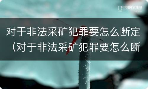 对于非法采矿犯罪要怎么断定（对于非法采矿犯罪要怎么断定罪名）