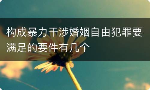 构成暴力干涉婚姻自由犯罪要满足的要件有几个