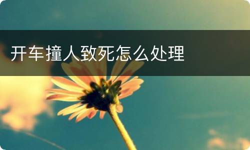 开车撞人致死怎么处理