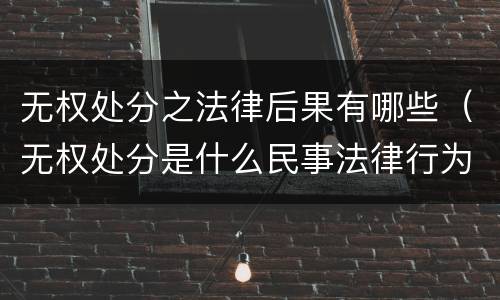 无权处分之法律后果有哪些（无权处分是什么民事法律行为）