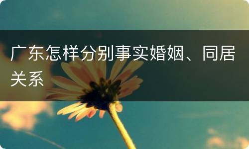 广东怎样分别事实婚姻、同居关系
