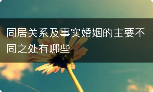 同居关系及事实婚姻的主要不同之处有哪些