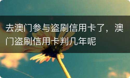 去澳门参与盗刷信用卡了，澳门盗刷信用卡判几年呢