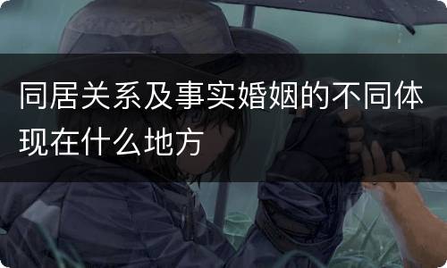 同居关系及事实婚姻的不同体现在什么地方