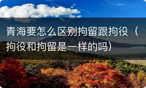 青海要怎么区别拘留跟拘役（拘役和拘留是一样的吗）