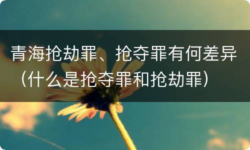 青海抢劫罪、抢夺罪有何差异（什么是抢夺罪和抢劫罪）