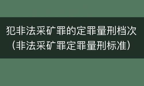 犯非法采矿罪的定罪量刑档次（非法采矿罪定罪量刑标准）