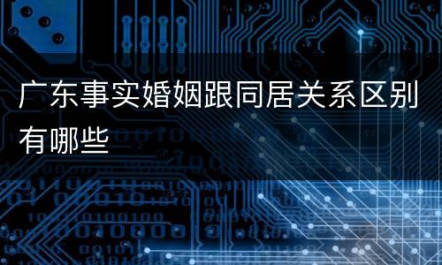 广东事实婚姻跟同居关系区别有哪些