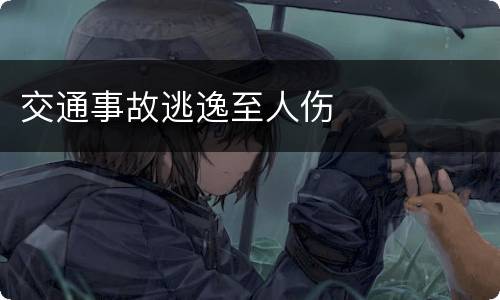 交通事故逃逸至人伤