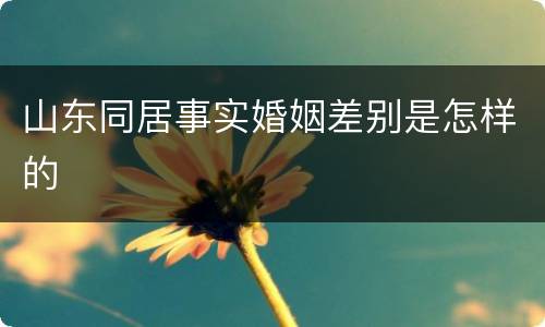 山东同居事实婚姻差别是怎样的