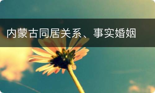 内蒙古同居关系、事实婚姻